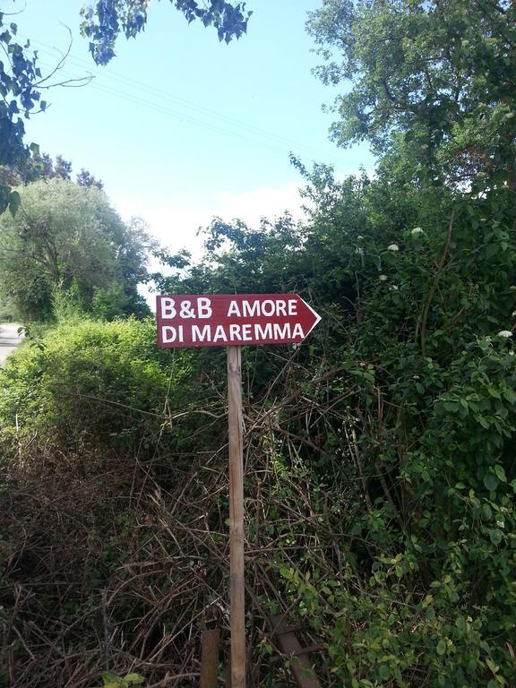 B&B Amore Di Maremma 格罗塞托 外观 照片